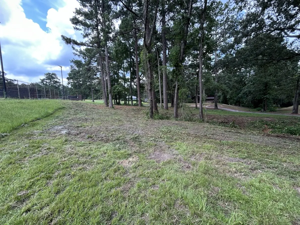 Open, grassy property under tall pines after land and brush clearing by RSL